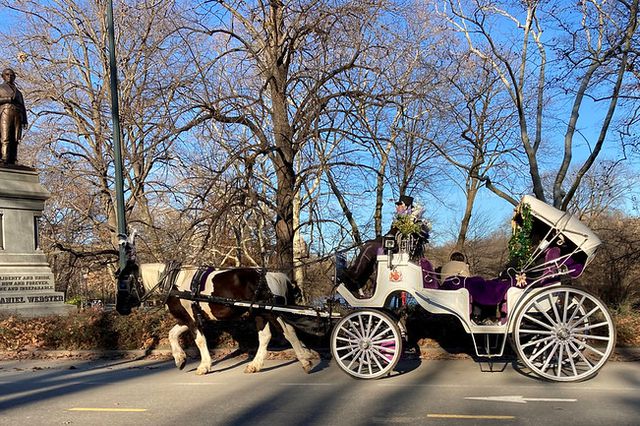 a horse carriage rides through Central Park